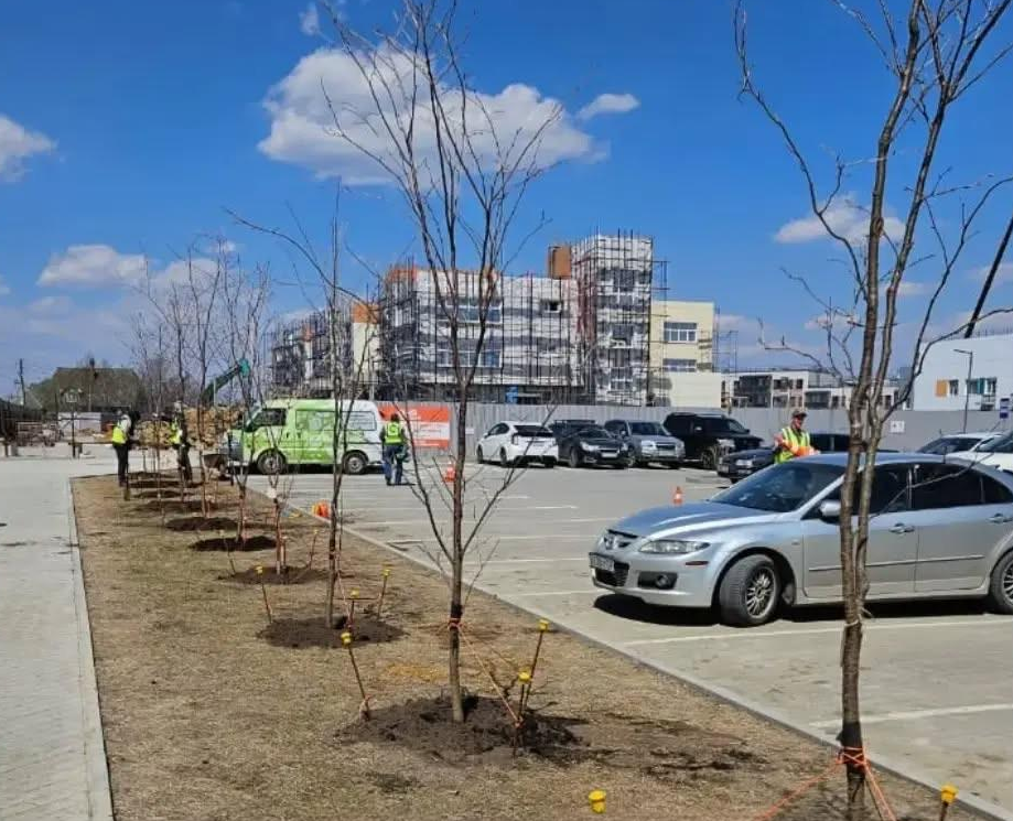 Заголовок